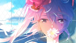 电脑壁纸 高清桌面壁纸图片