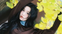 包上恩 银杏叶美女壁纸图片 现代美女、时尚美女、清纯美女、性感美女