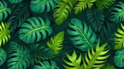 植物 叶子 护眼 桌面壁纸