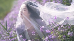 唯美 美女 头纱 紫色鲜花 刘些宁桌面壁纸