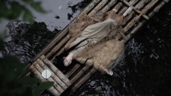 高清古风 竹排 意境美女壁纸