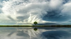 云 奇观 一棵树 湖泊倒影 风景桌面壁纸