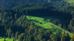 树林 山坡 绿色草地 木屋 风景桌面壁纸
