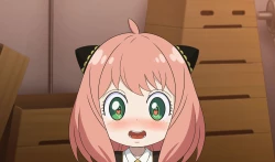 动画动漫 电脑桌面超高清壁纸 阿尼亚 约尔