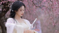 粉色樱花 古风美女刘些宁壁纸