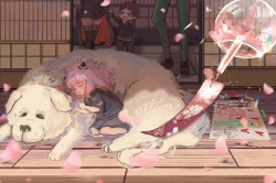 动画动漫 电脑桌面超高清壁纸 阿尼亚 约尔