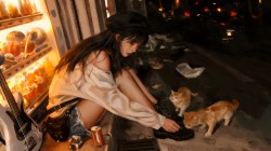 晚上 少女 帽子 流浪猫 电脑壁纸