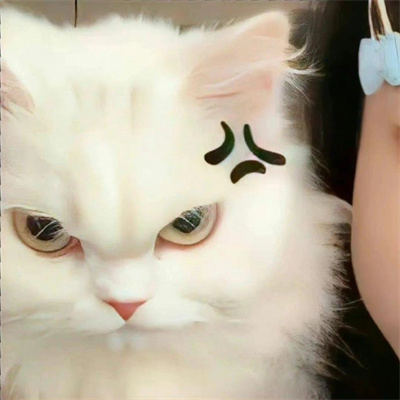 2025年一左一右配对情头精选，让爱无处不在，甜度满分！,第1张