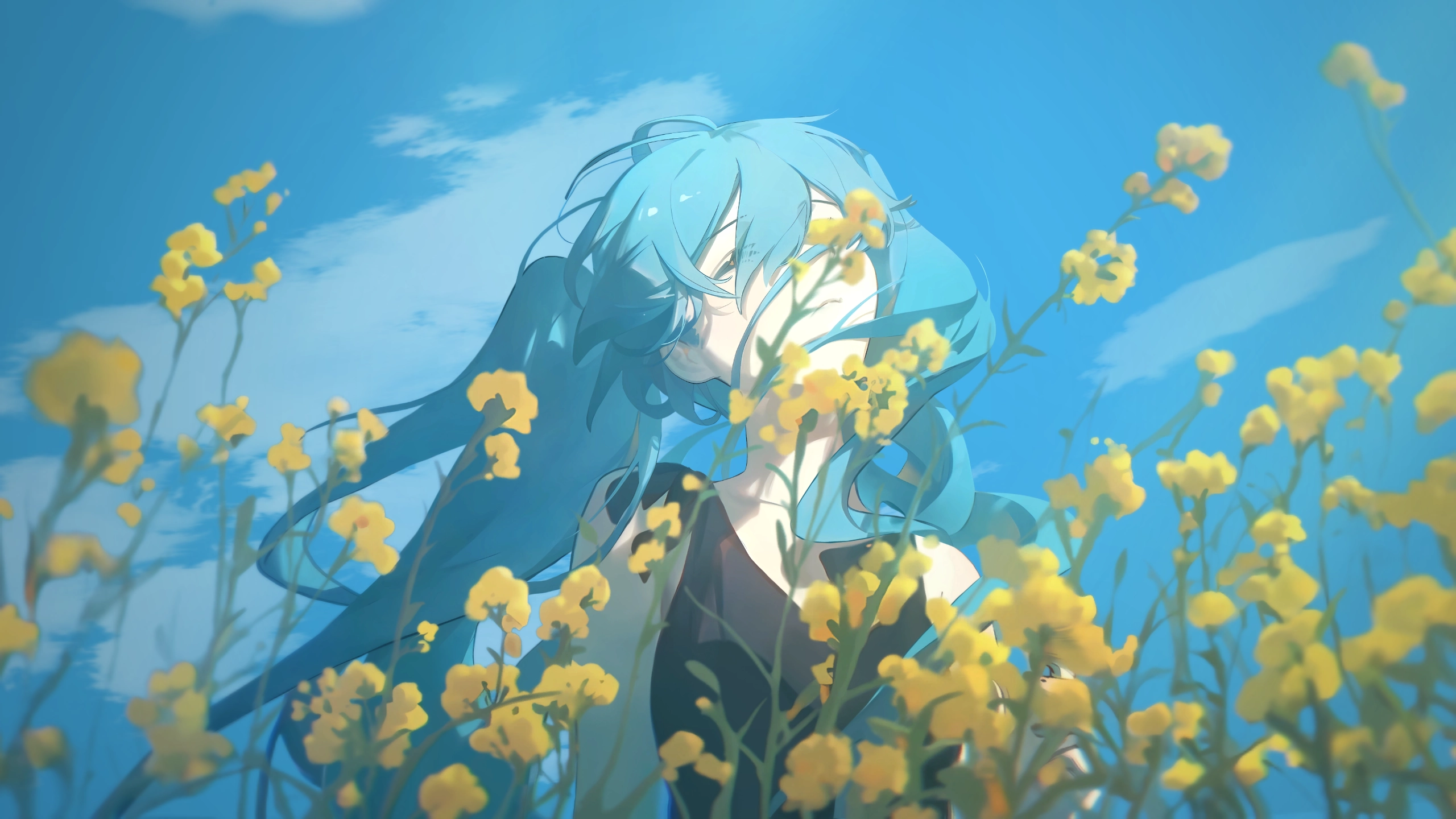 电脑壁纸 高清桌面壁纸图片,第1张