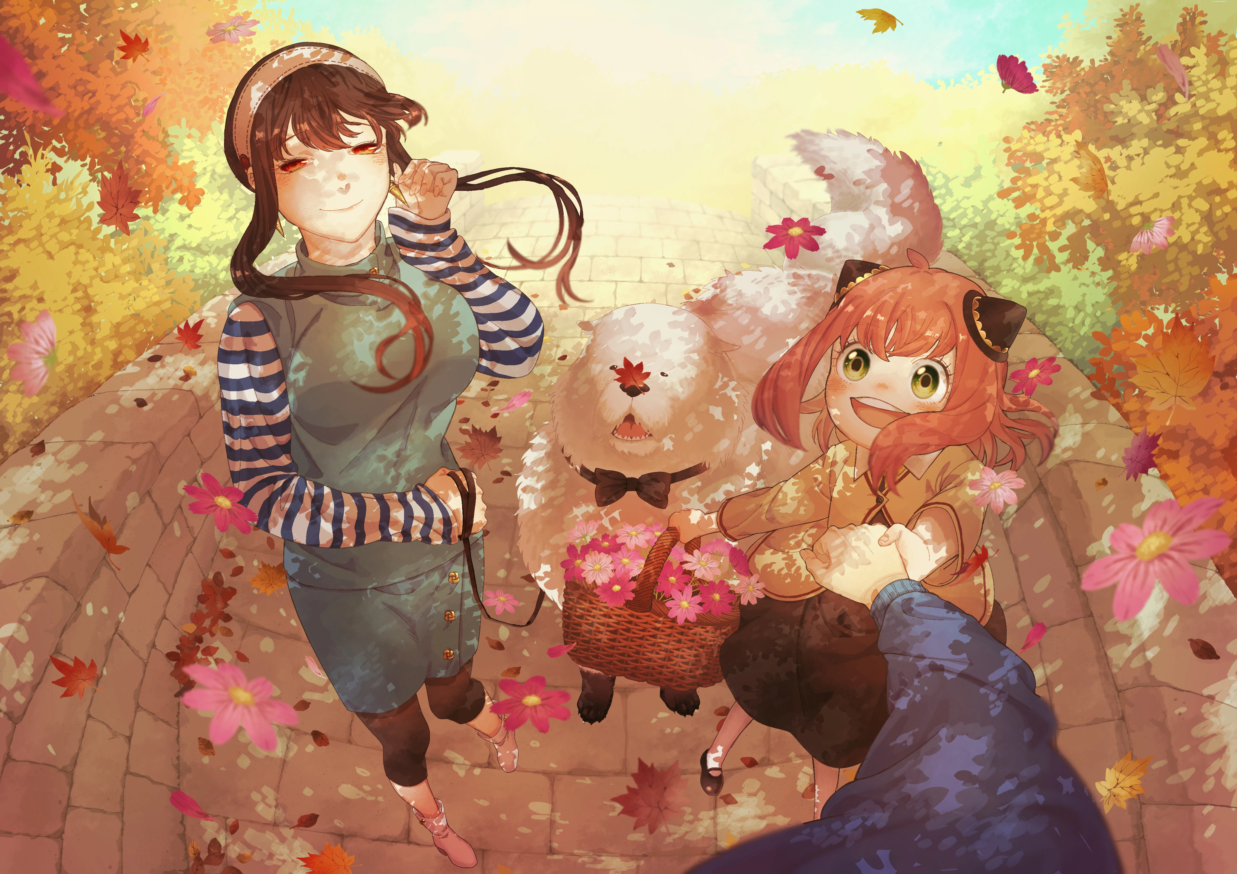 动画动漫 电脑桌面超高清壁纸 阿尼亚 约尔,第1张