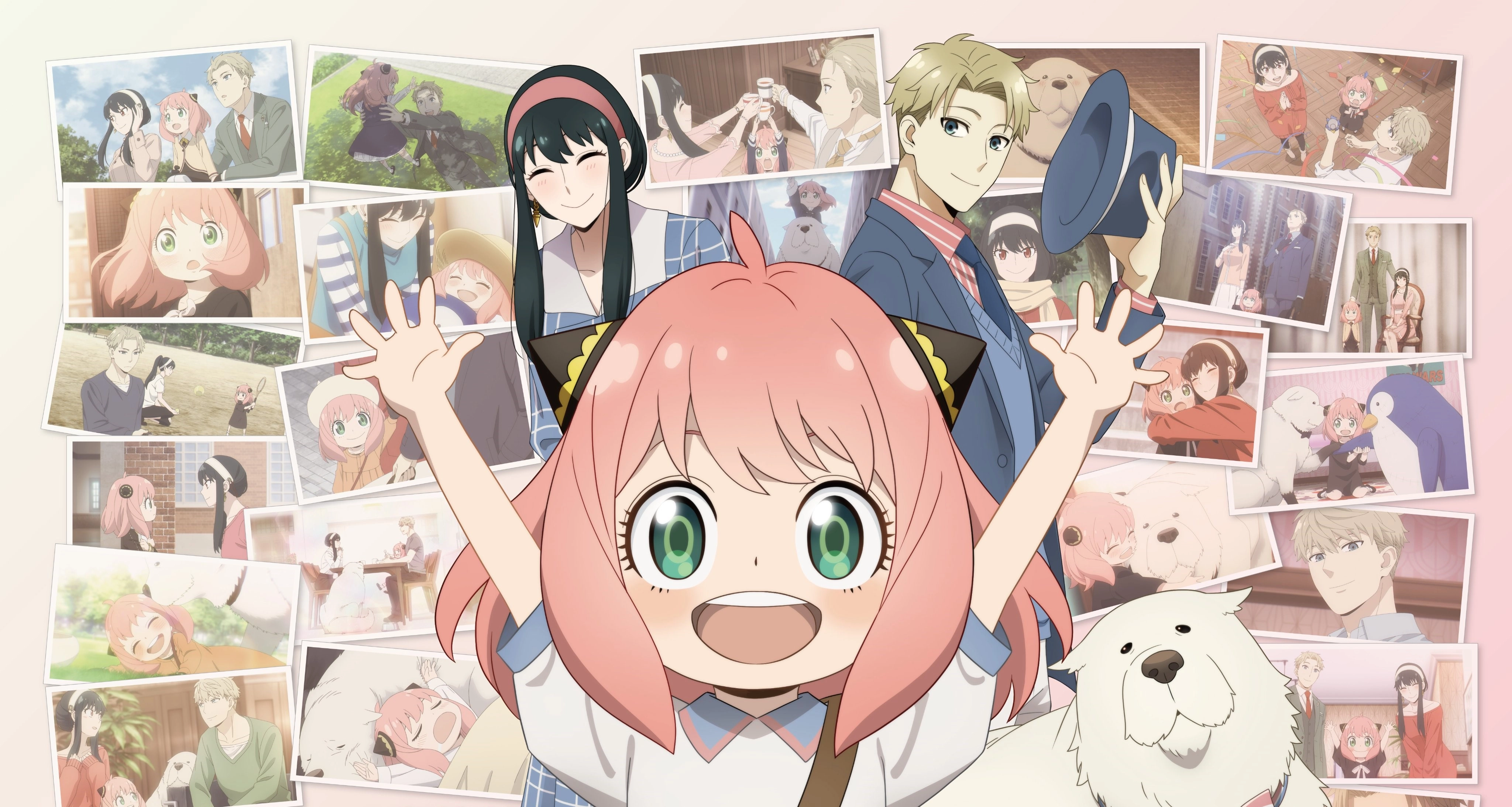 动画动漫 电脑桌面超高清壁纸 阿尼亚 约尔,第1张