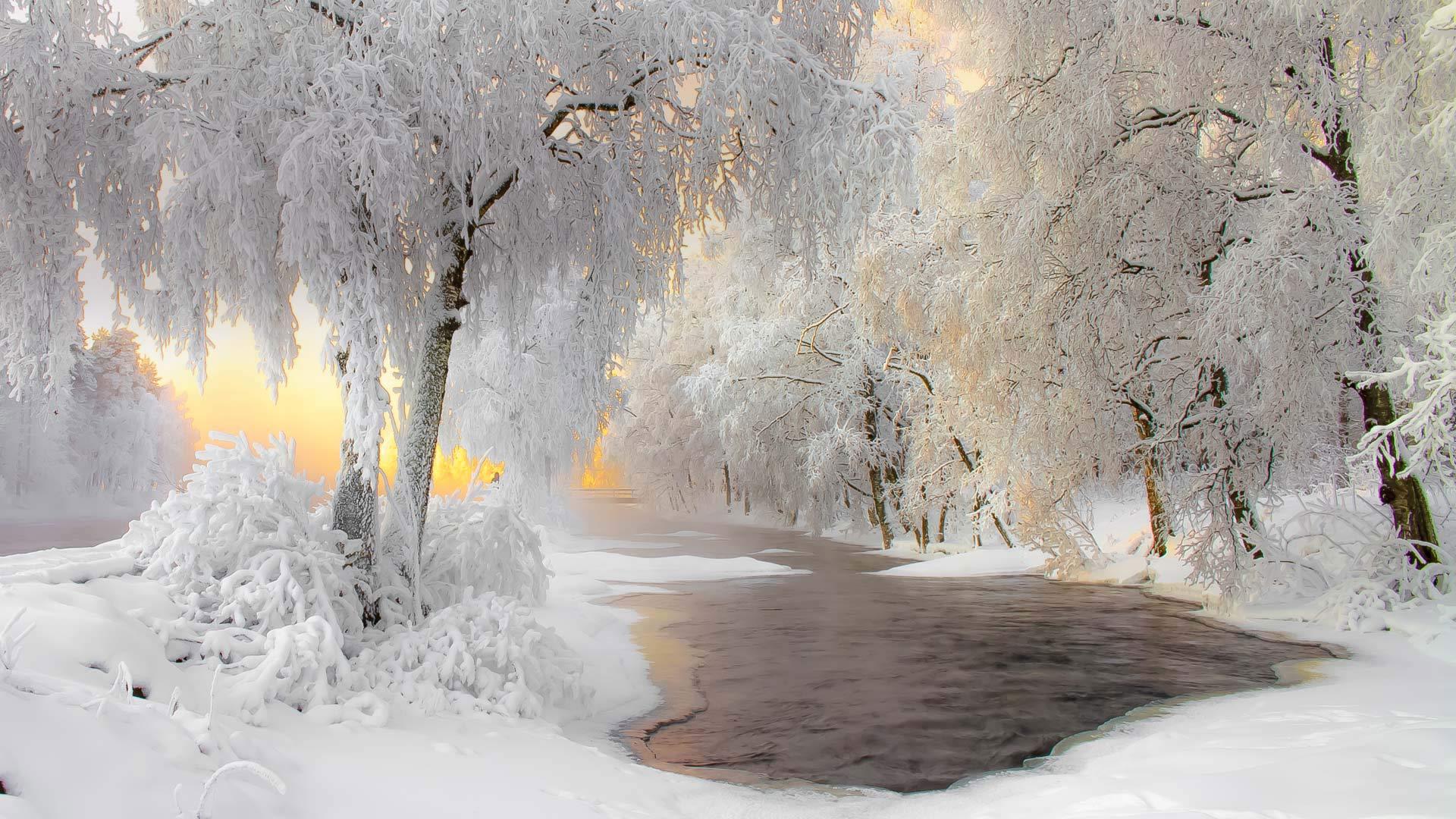 美丽的冬季雪景 树 河流 风景 壁纸,第1张
