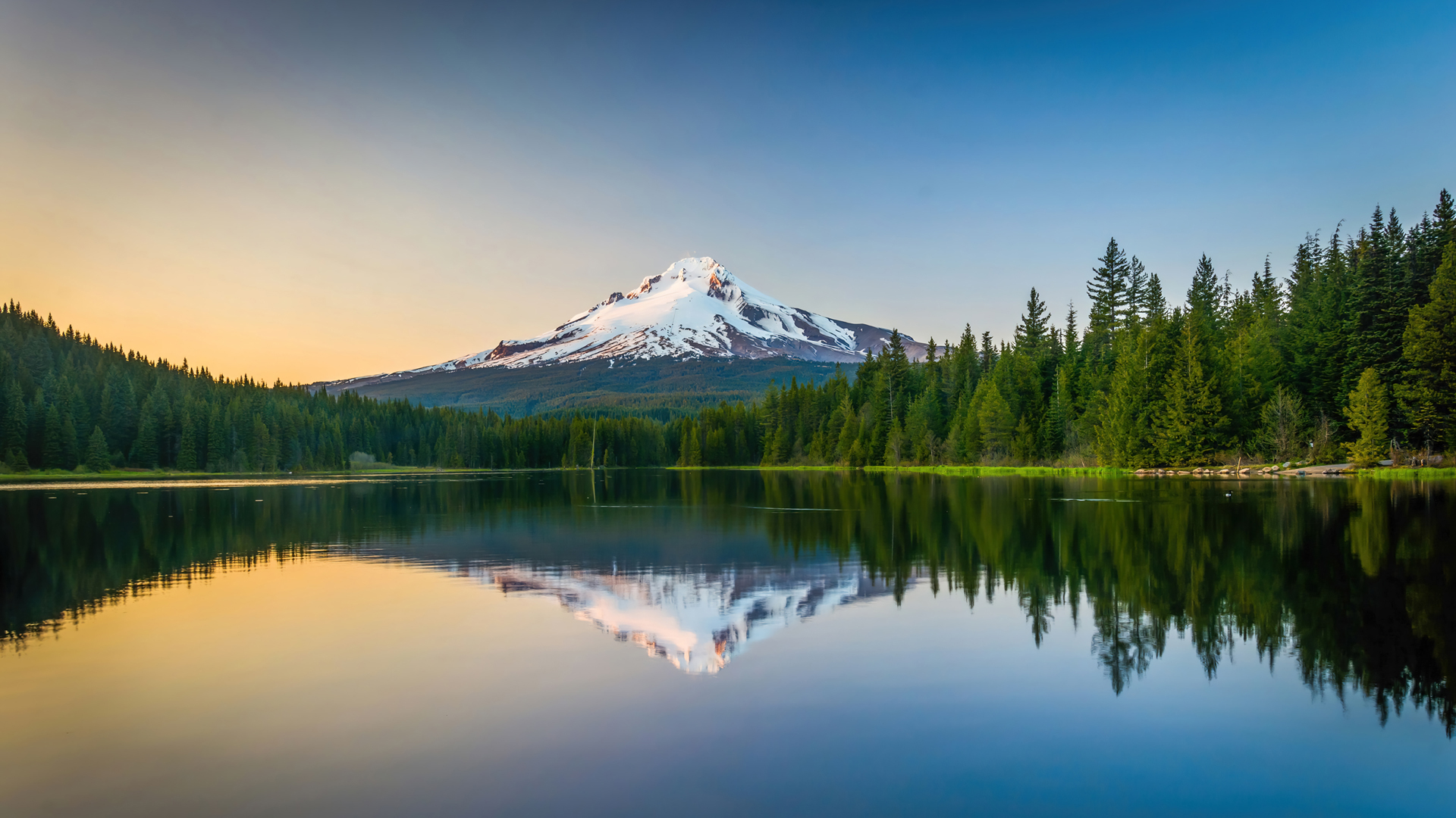 雪山 湖水 树林 倒影 风景 壁纸,第1张