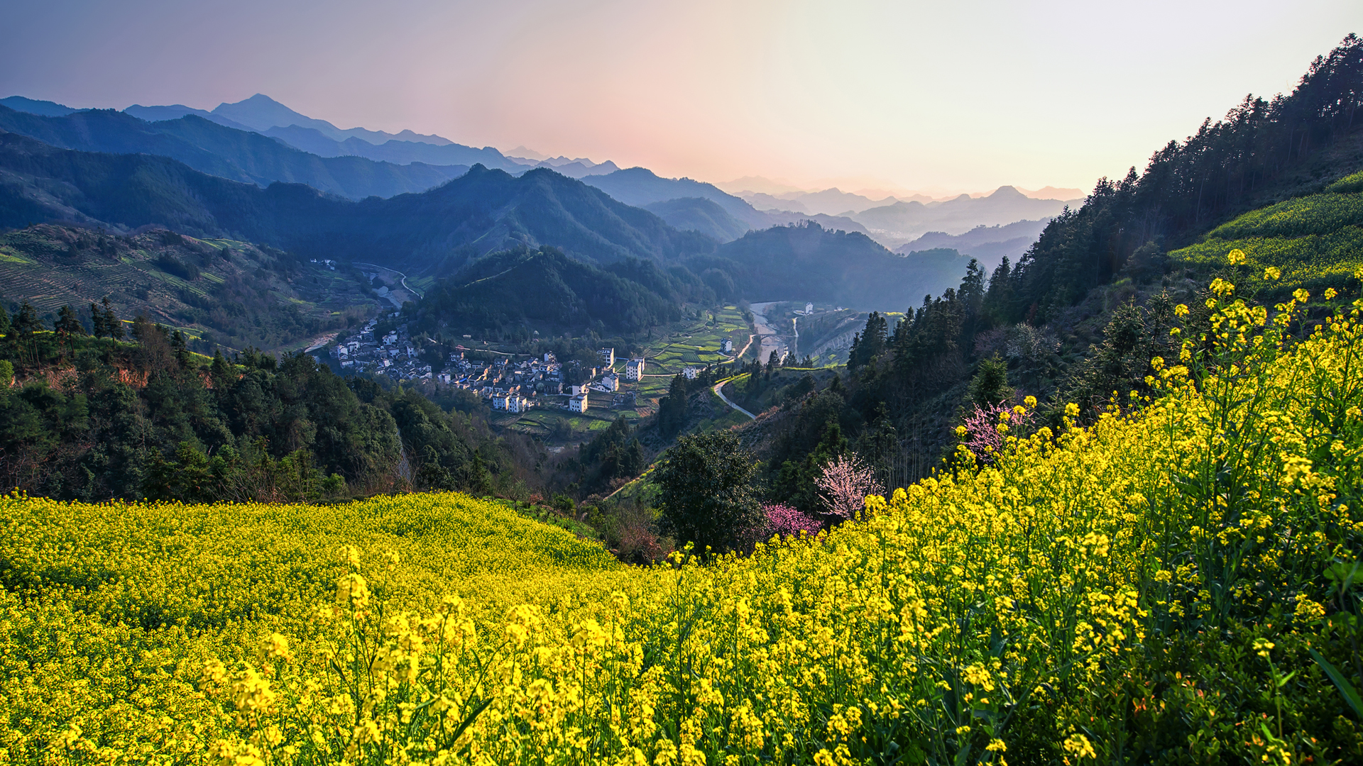 春天 山村 房子 油菜花 群山风景壁纸,第1张