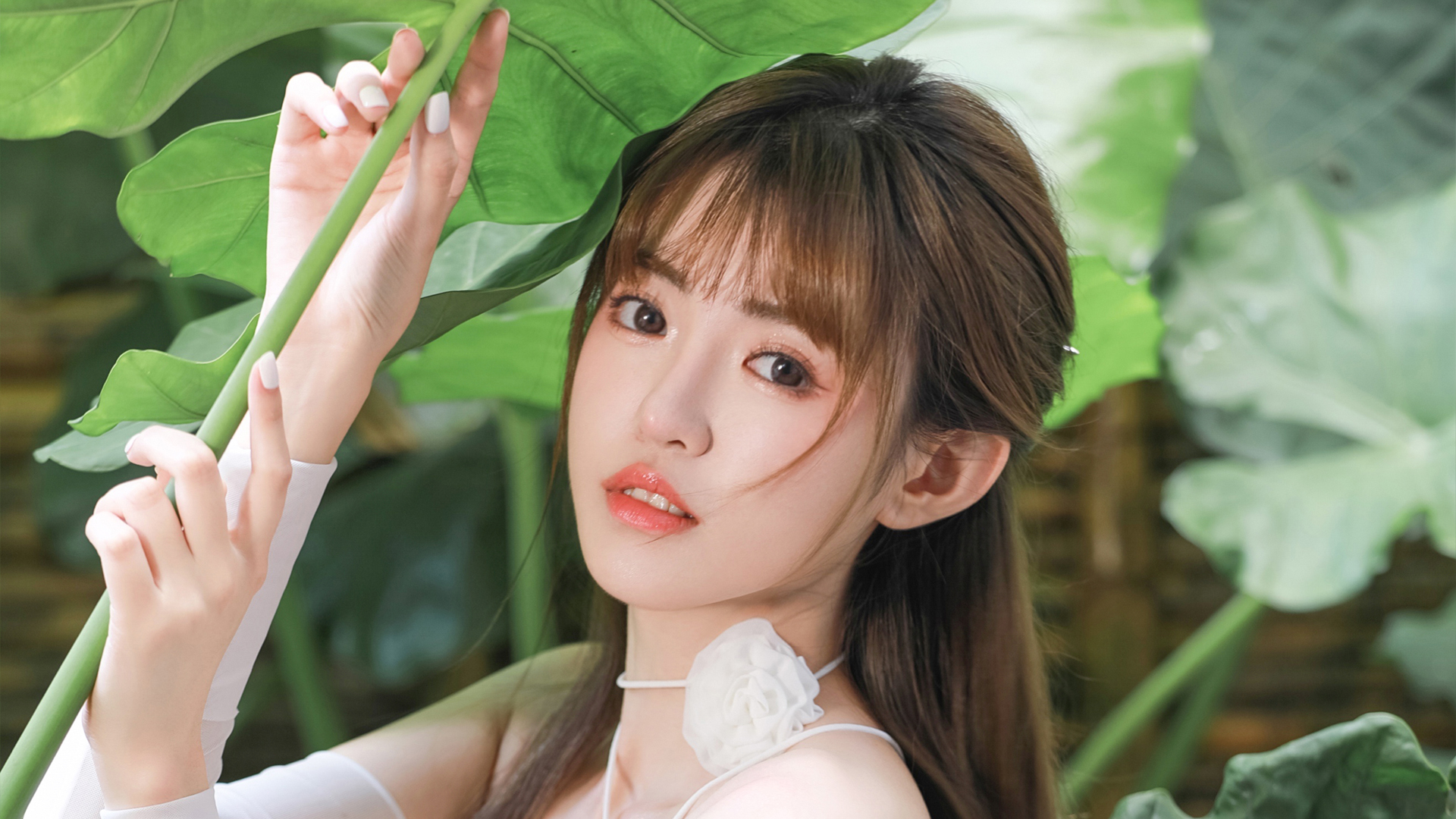 荷花清纯美女壁纸,第1张