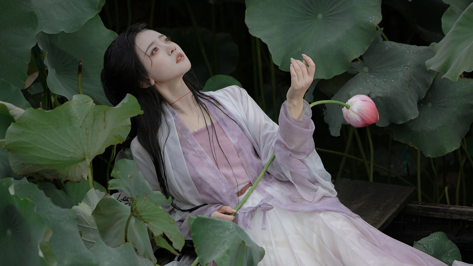 荷叶 荷花 唯美漂亮古风美女电脑壁纸,第1张