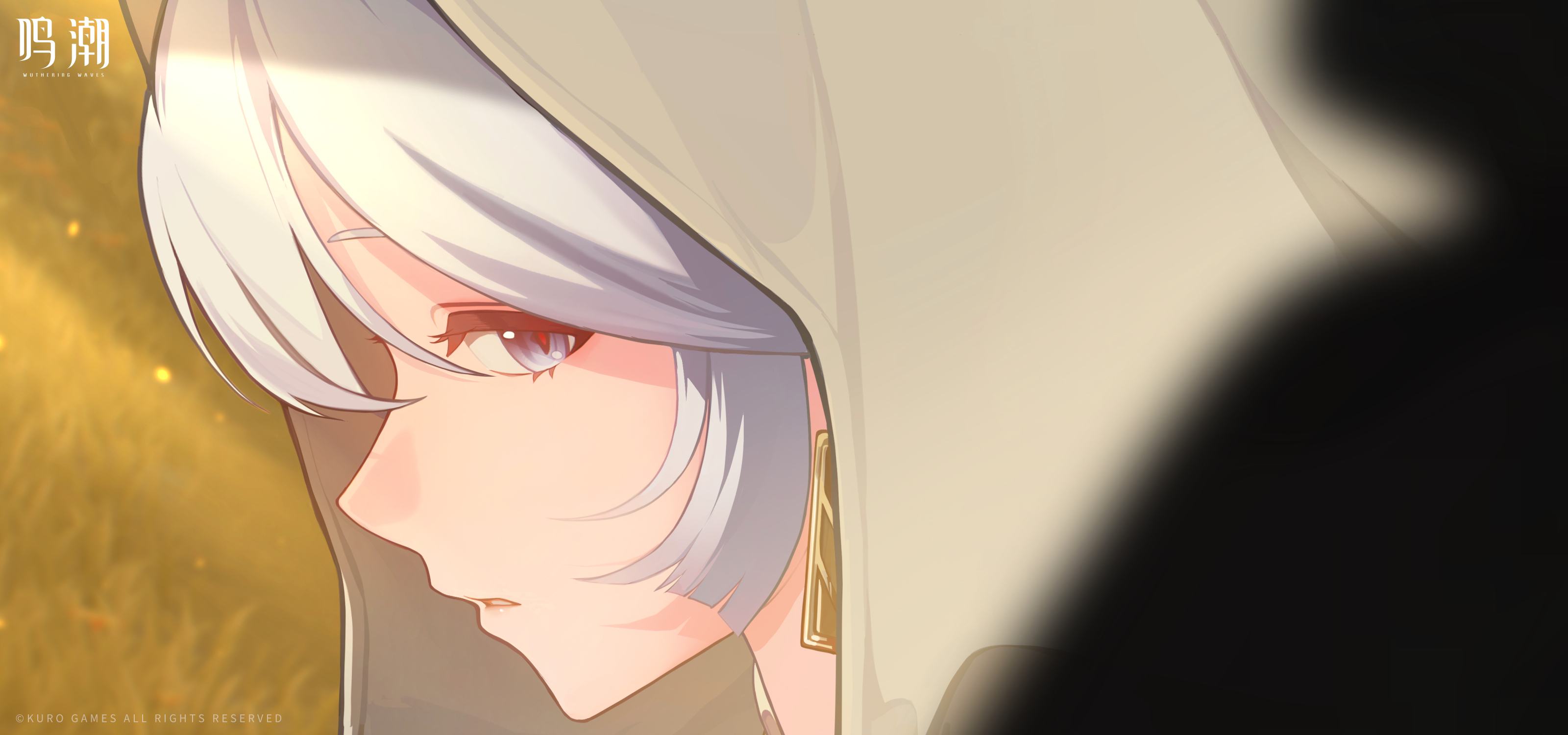 鸣潮官网社媒活动高清电脑壁纸桌面-CG动画-命运之路,第2张