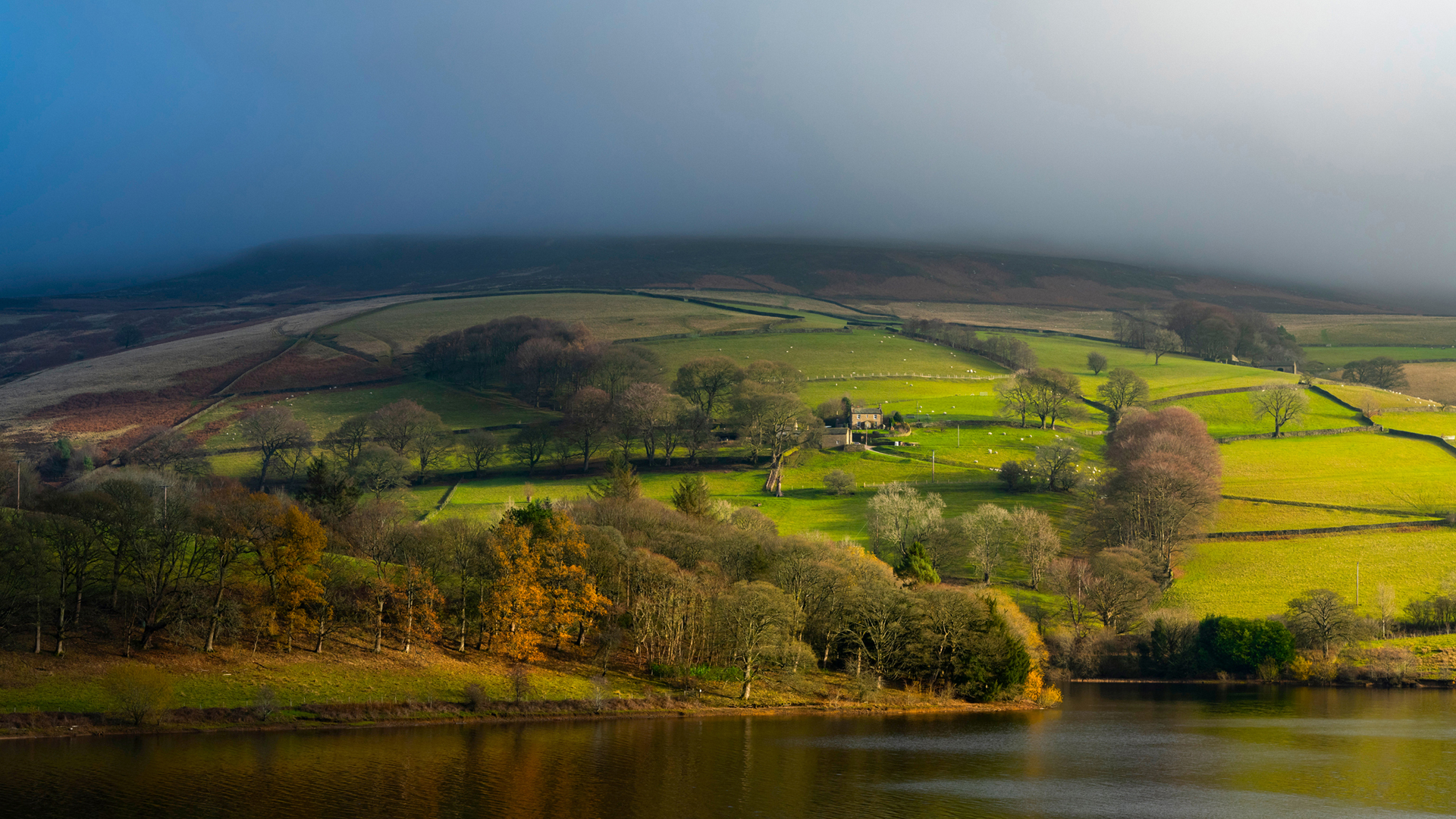 早晨 农场 田野 河流 房屋 绵羊 山丘 树林 风景桌面壁纸全屏,第1张